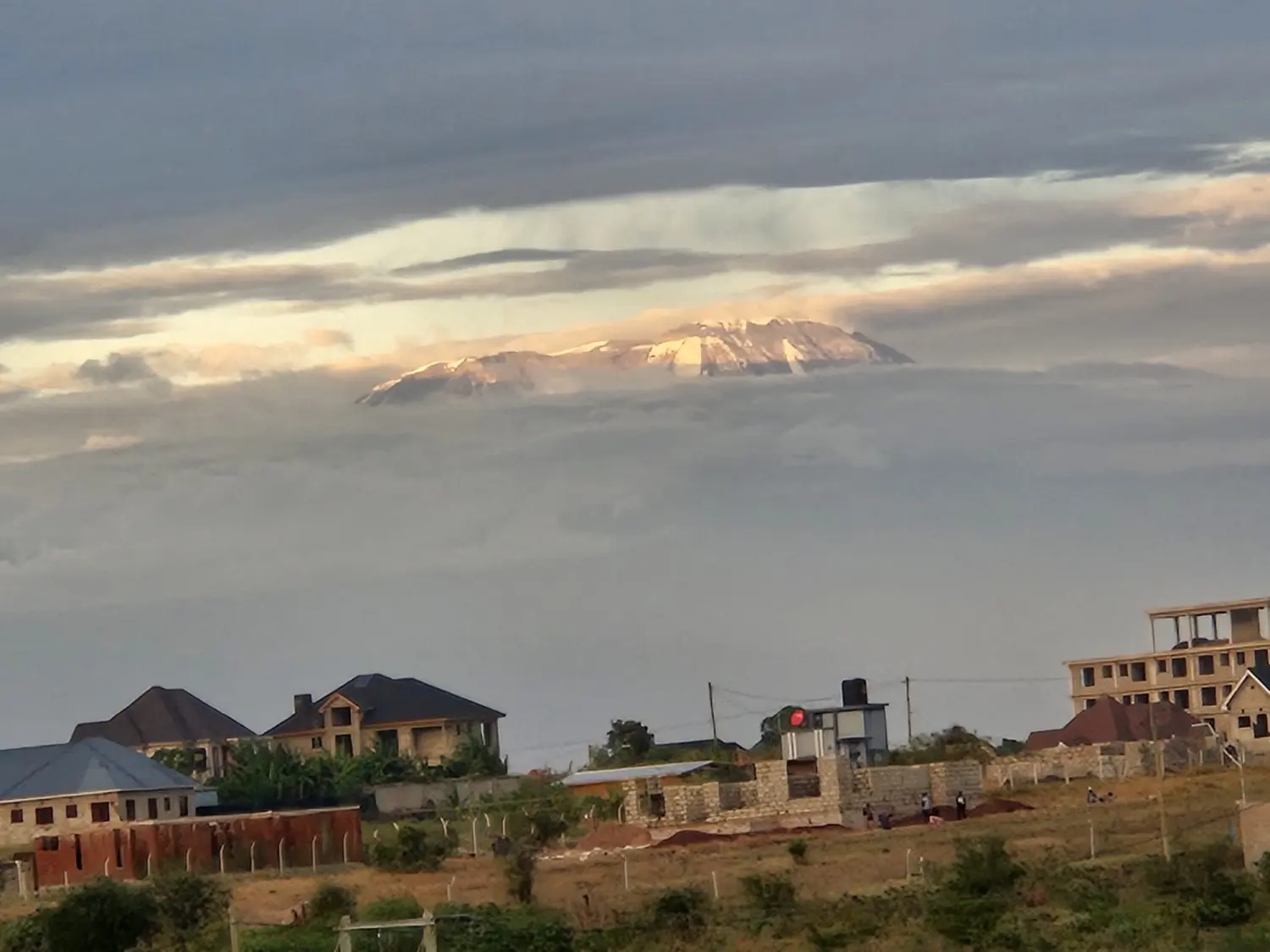Tagesausflüge oder mehrtätige Touren zum Kilimanjaro