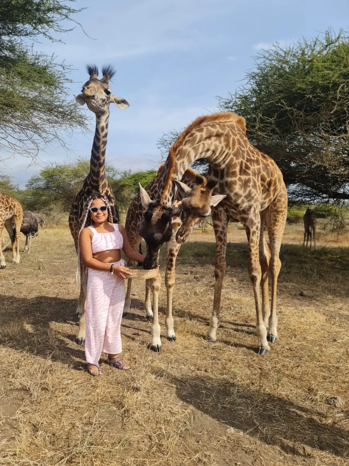 SMILE Apartments - Safaris